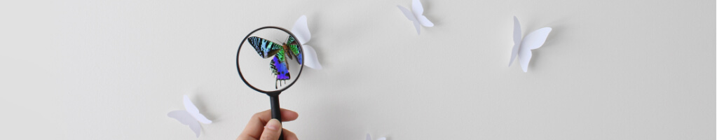 Image of a butterfly and a magnifying glass.